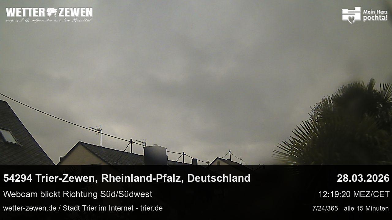 Bild