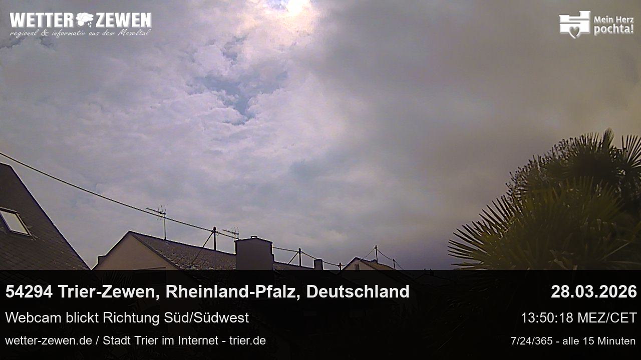 Bild