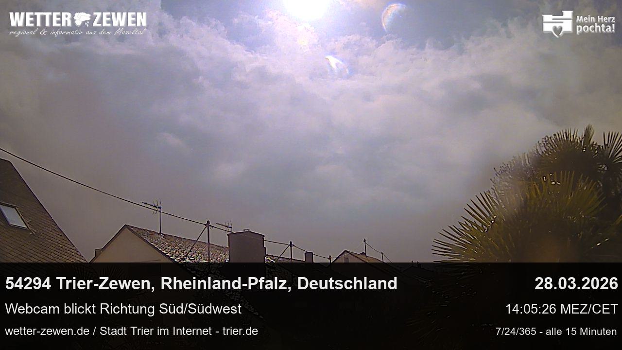 Bild