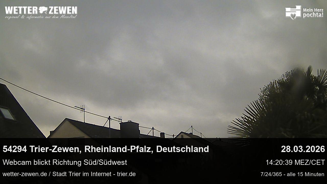 Bild