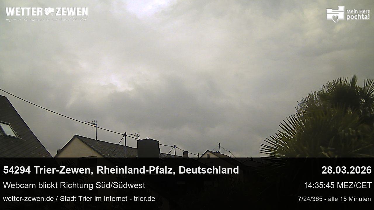 Bild
