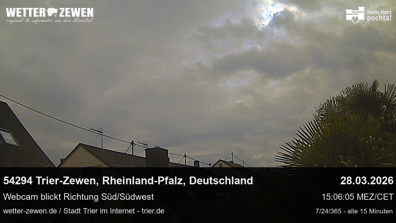 Bild