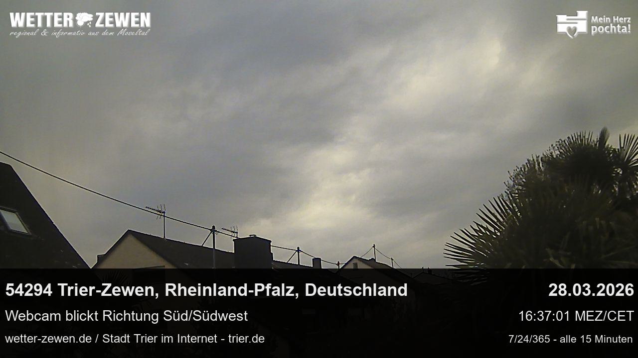 Bild