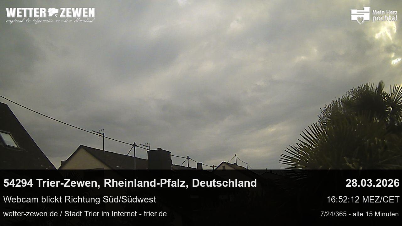 Bild