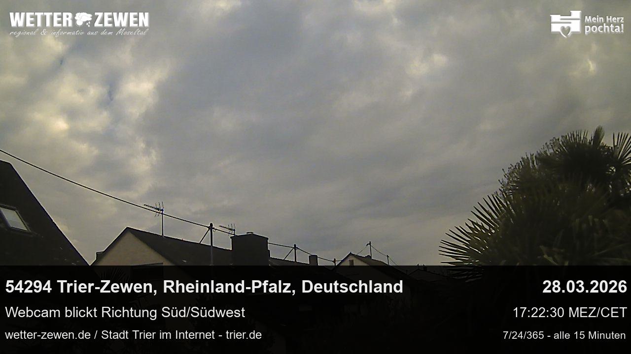 Bild
