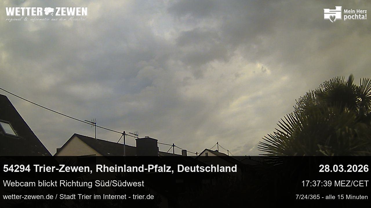 Bild