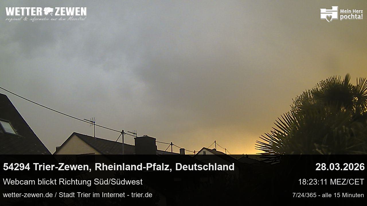 Bild