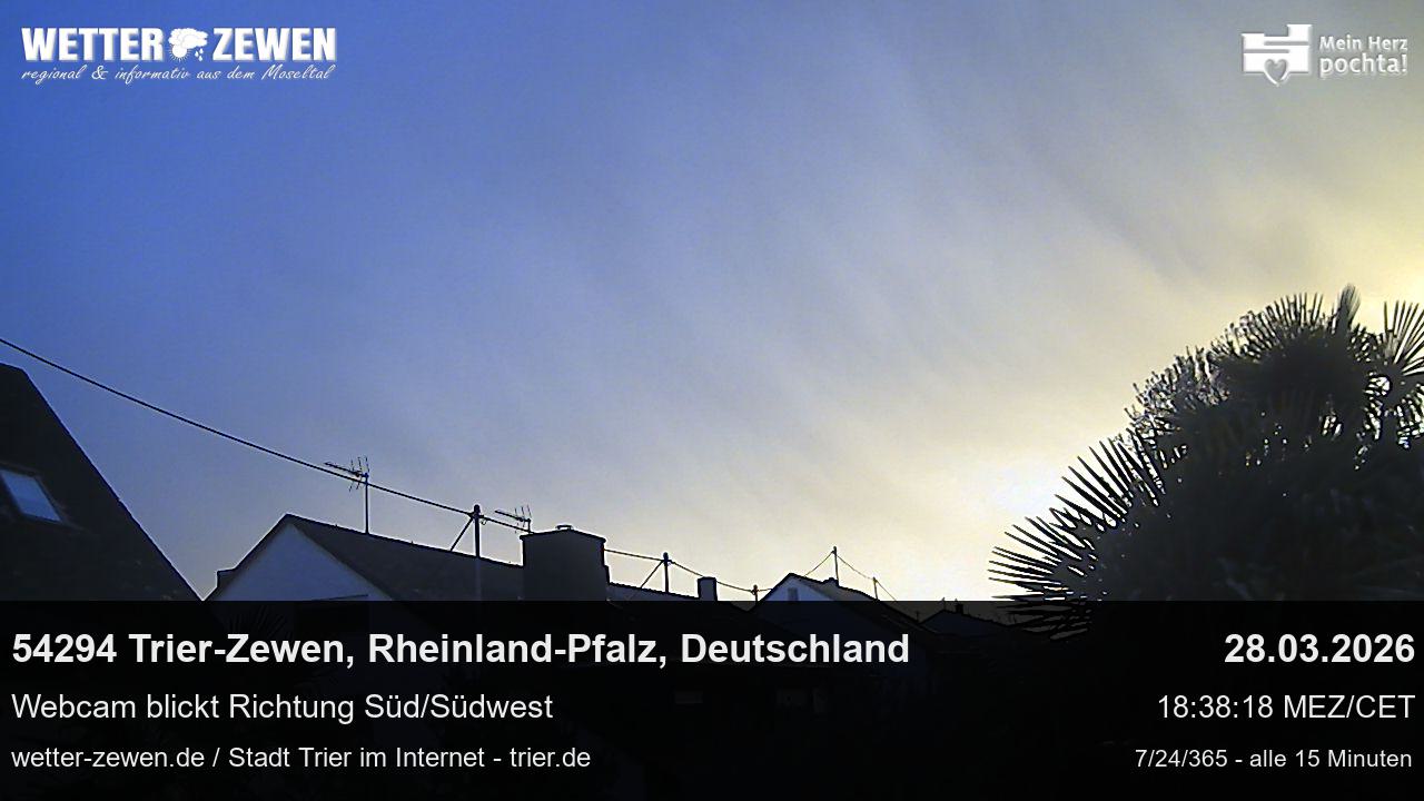 Bild