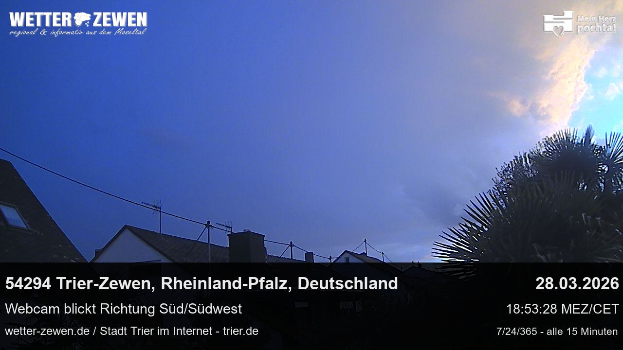 Bild