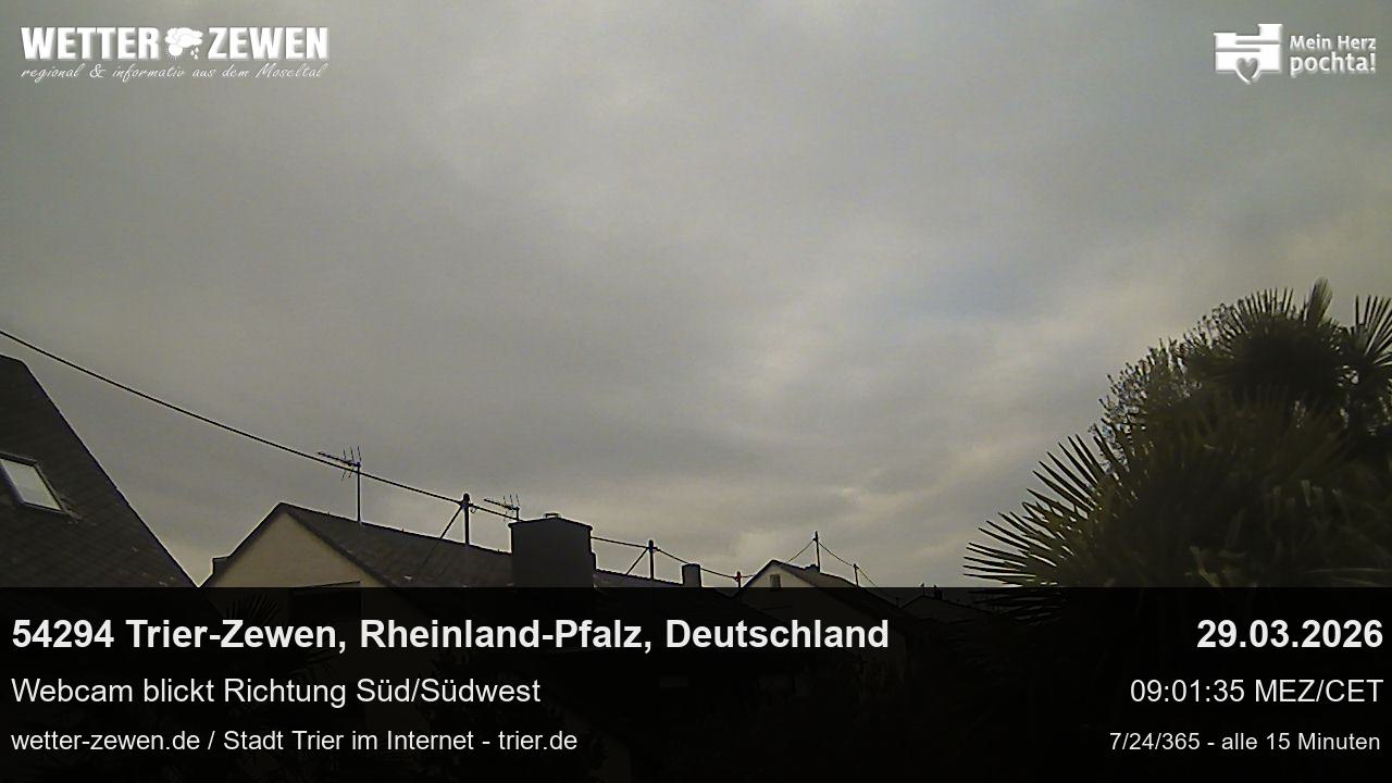 Bild