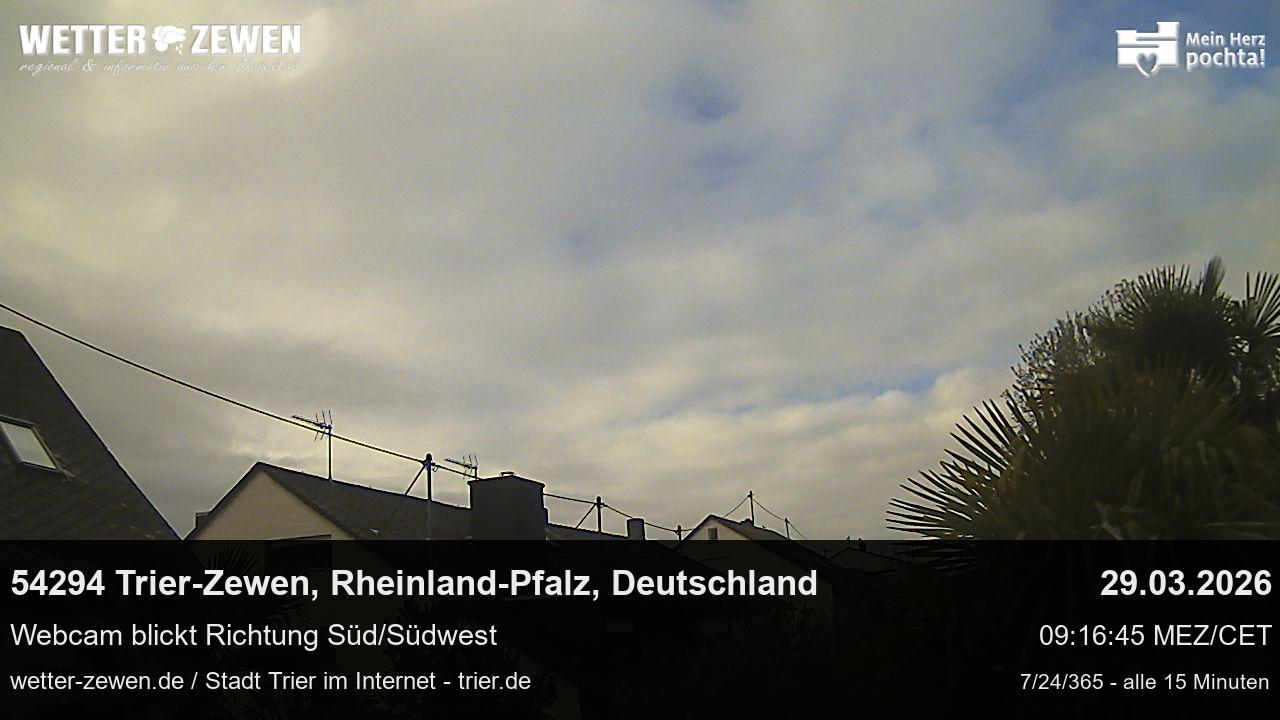 Bild