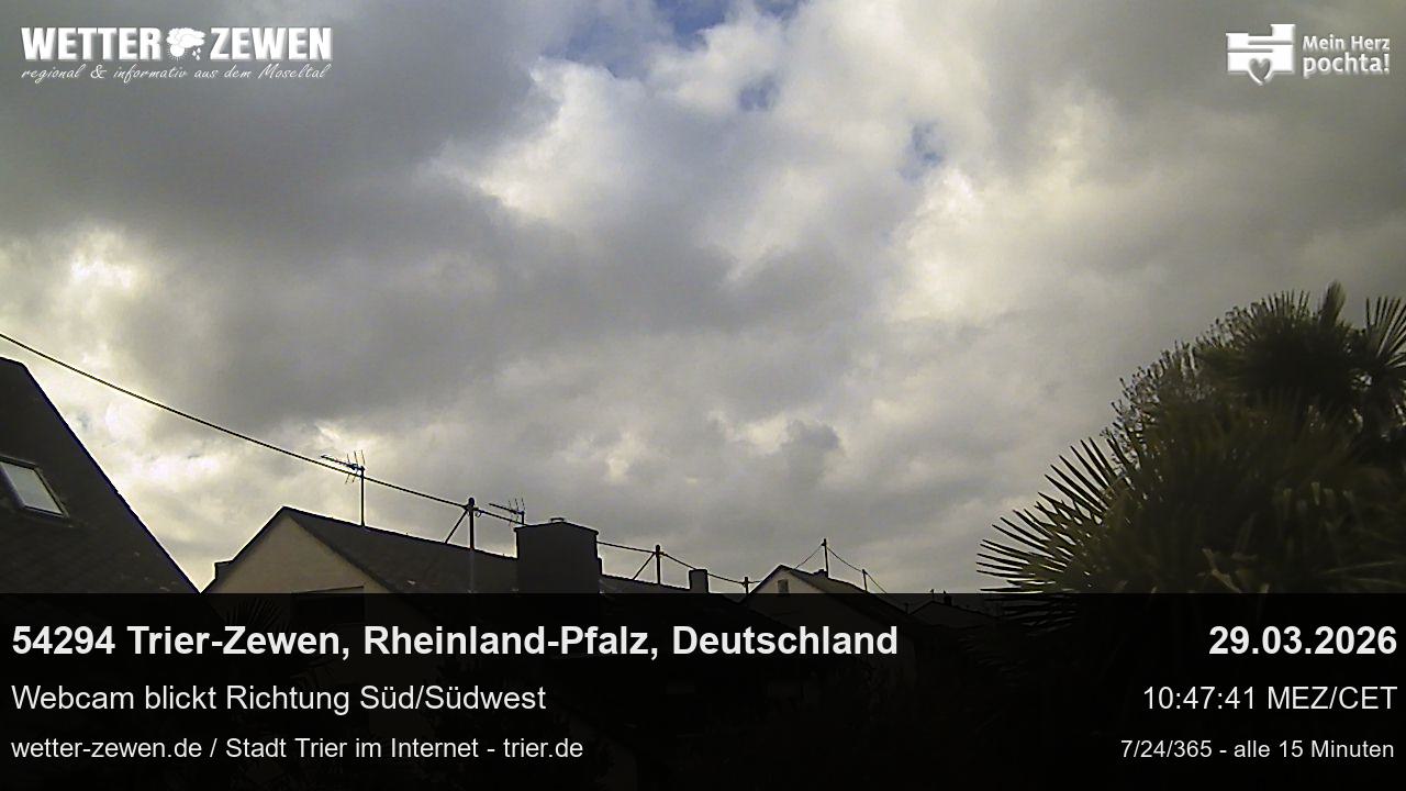 Bild
