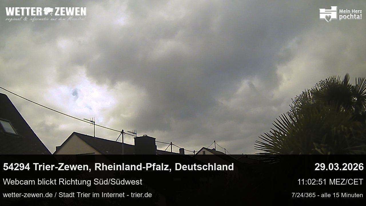 Bild