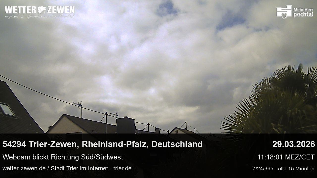 Bild