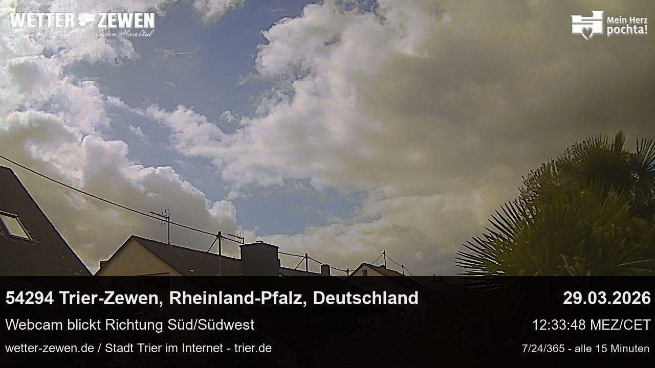 Bild