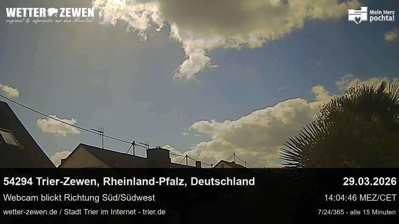 Bild