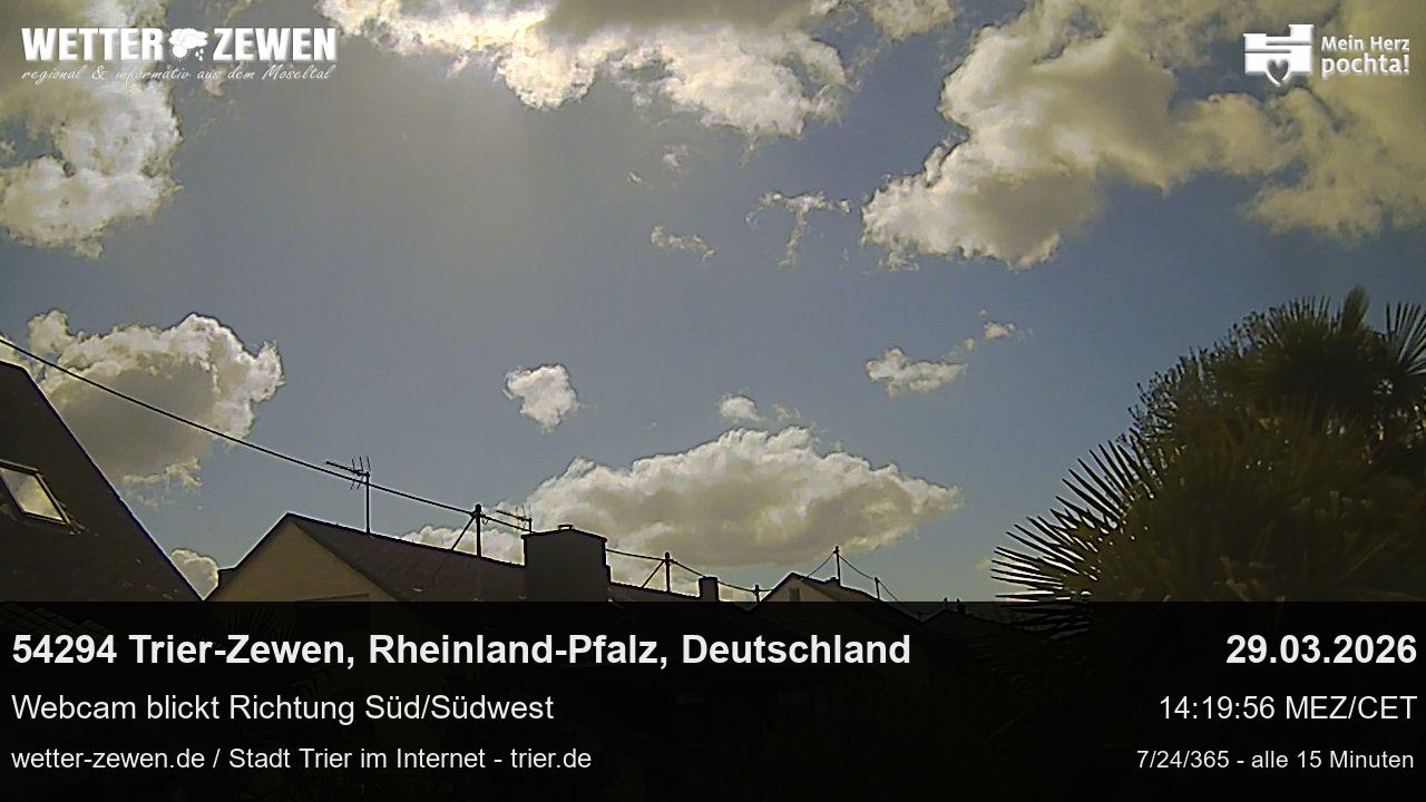 Bild