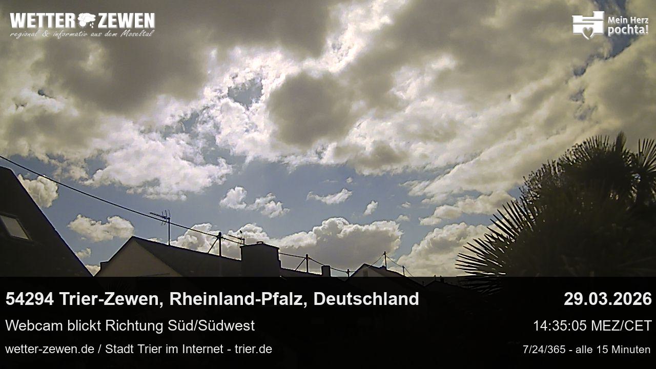 Bild
