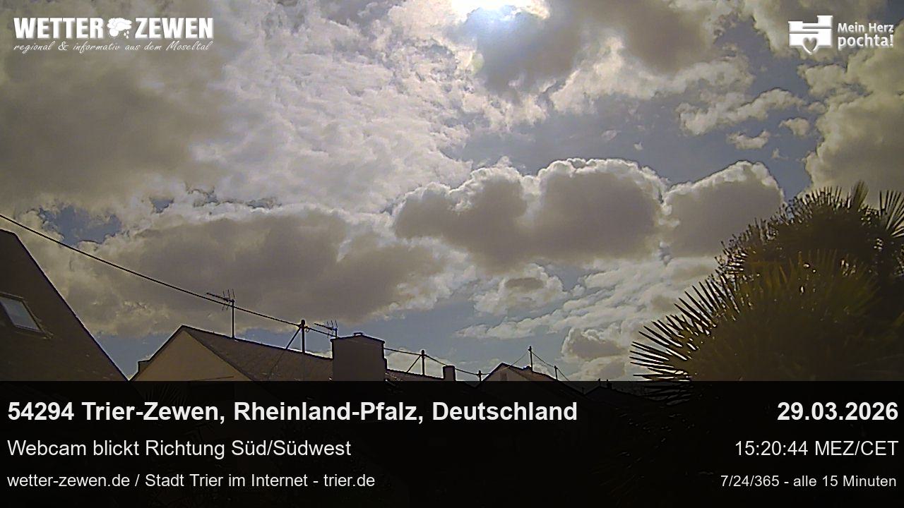 Bild
