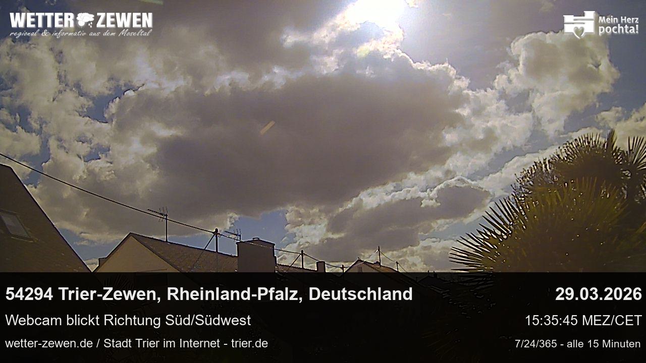 Bild