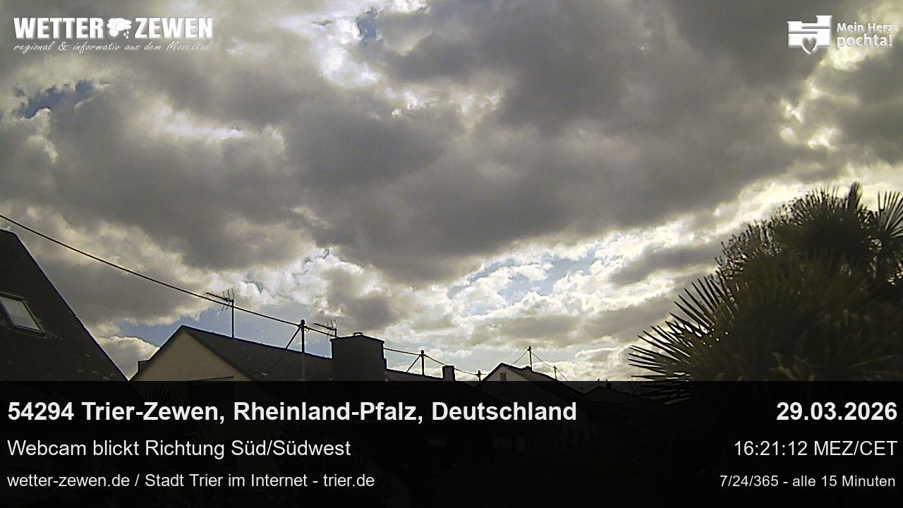 Bild