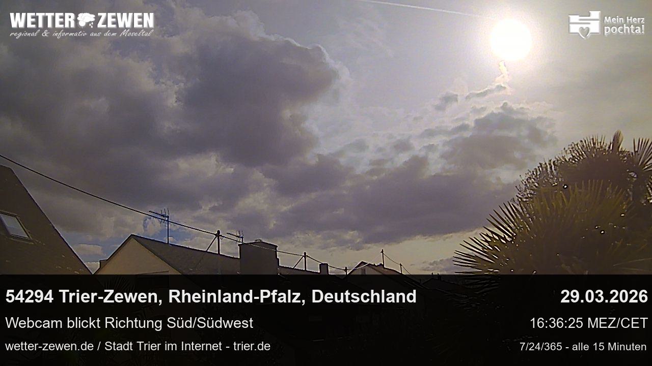 Bild
