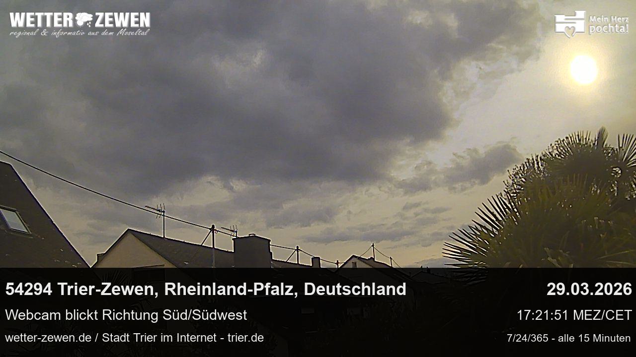 Bild