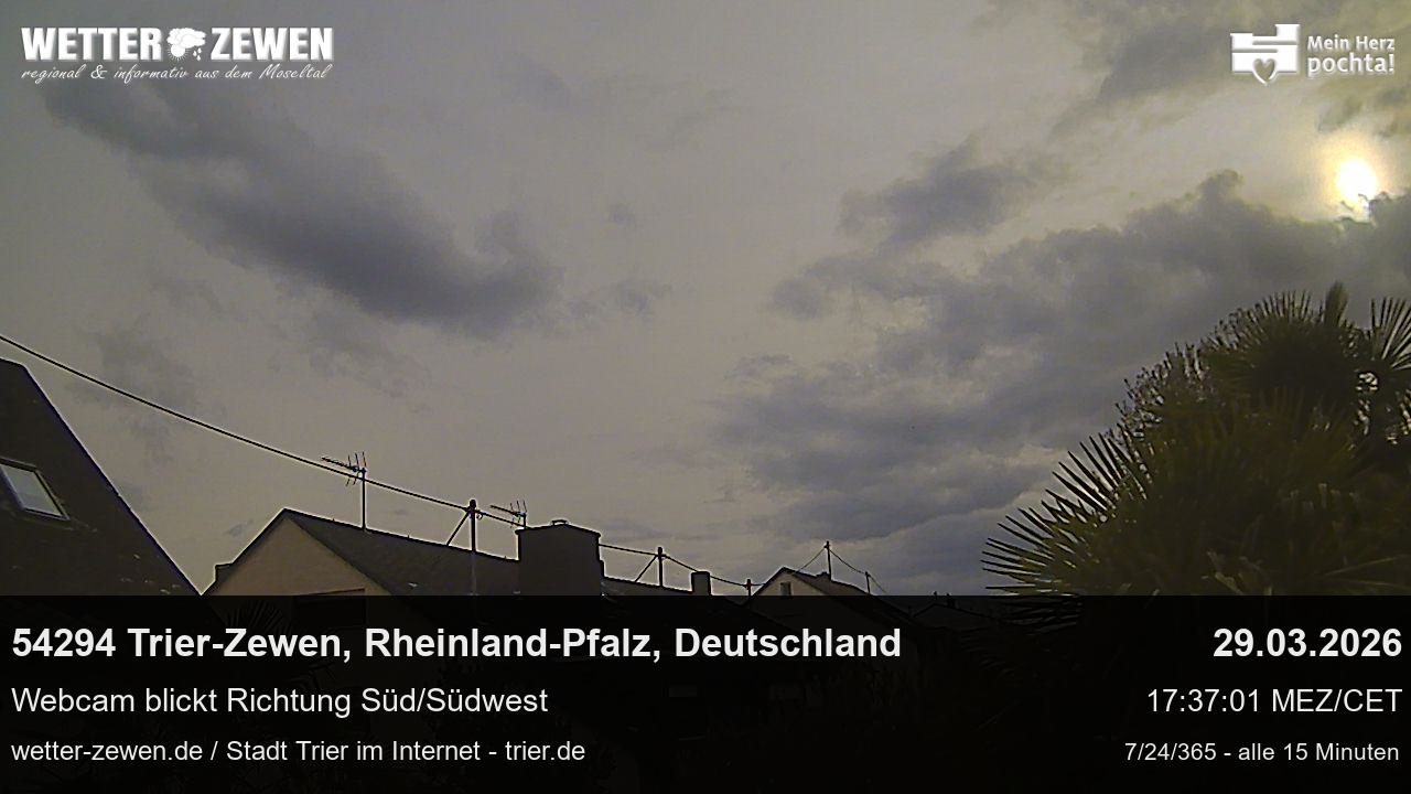 Bild