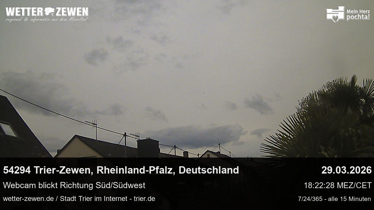 Bild