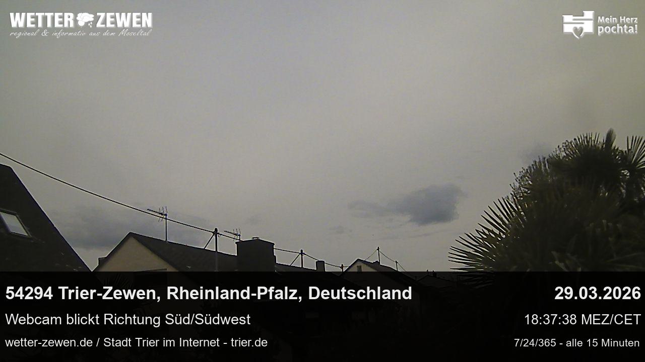 Bild