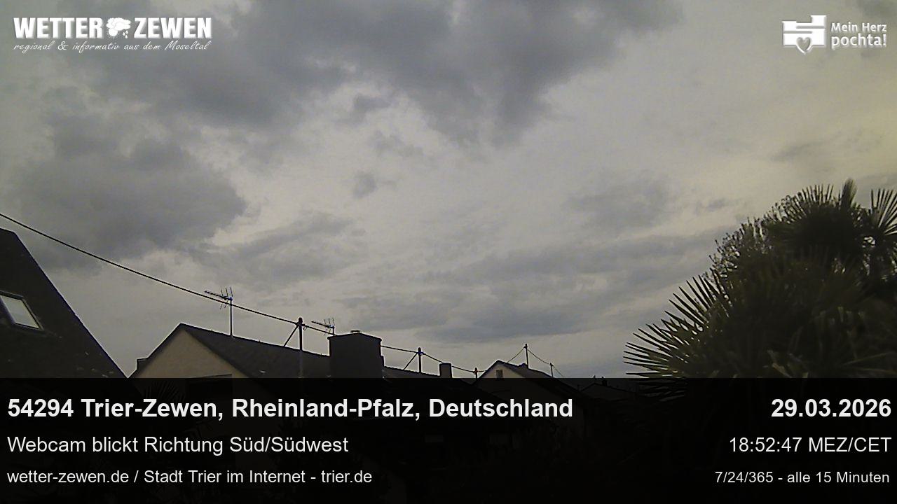 Bild