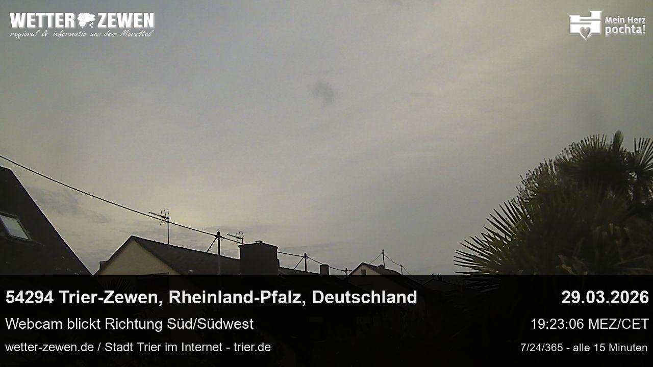Bild