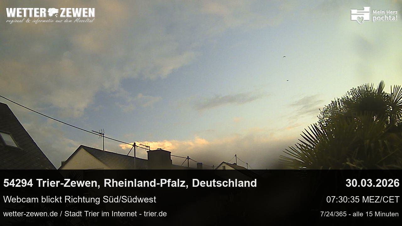 Bild