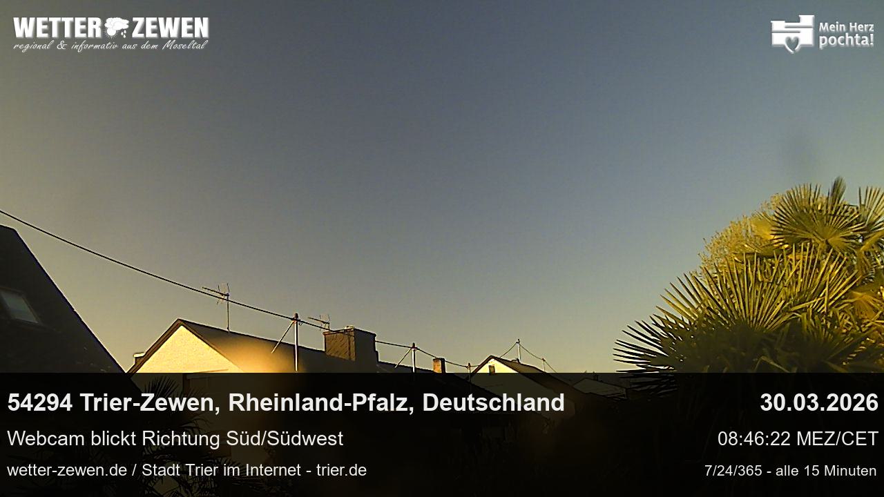 Bild