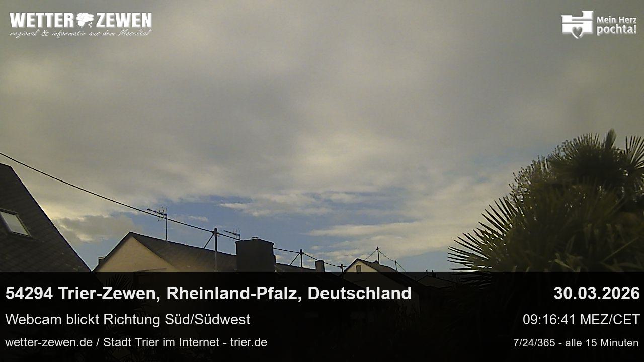 Bild