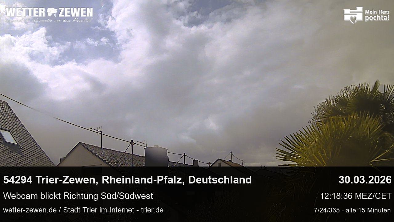 Bild