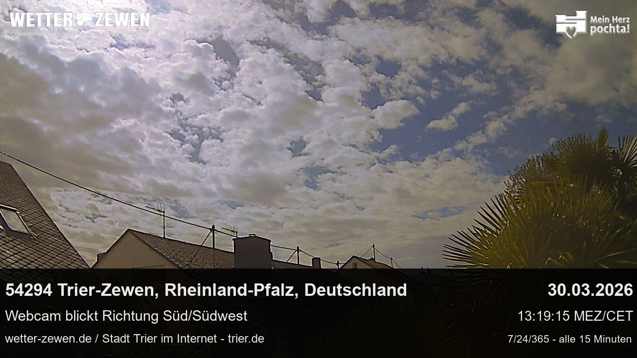 Bild