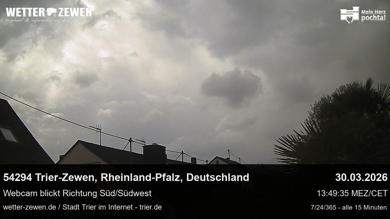 Bild