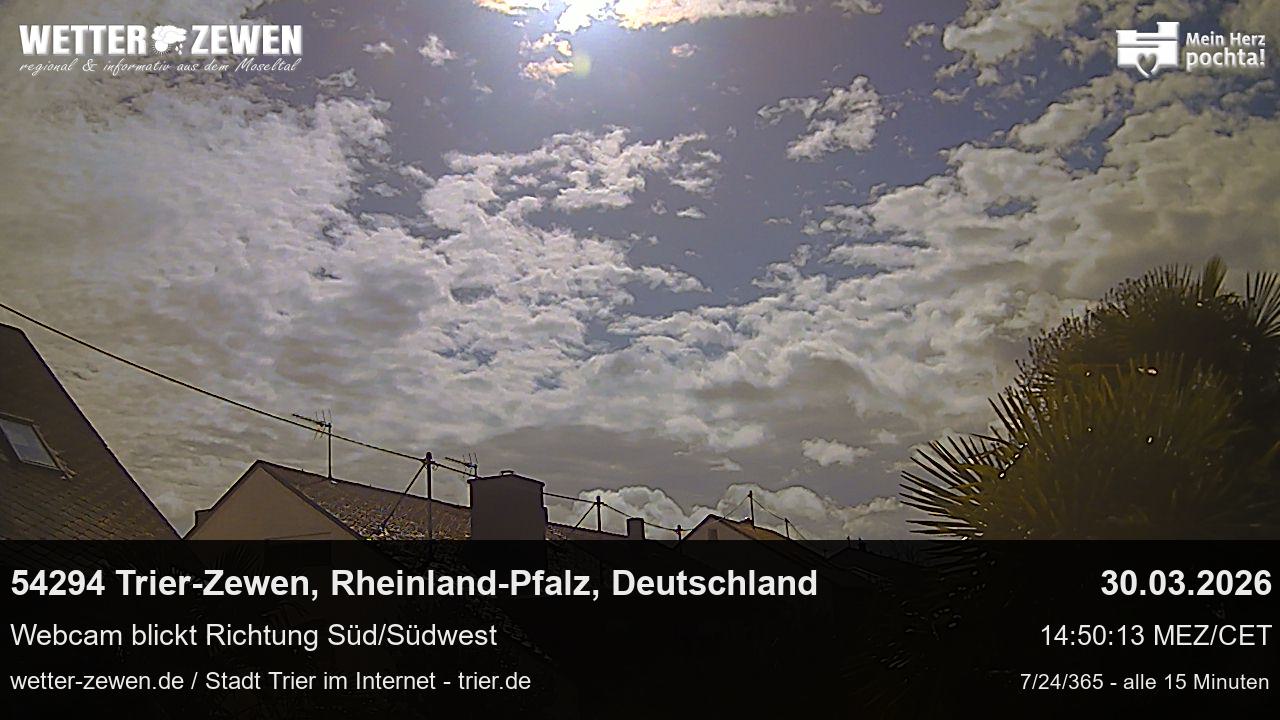 Bild