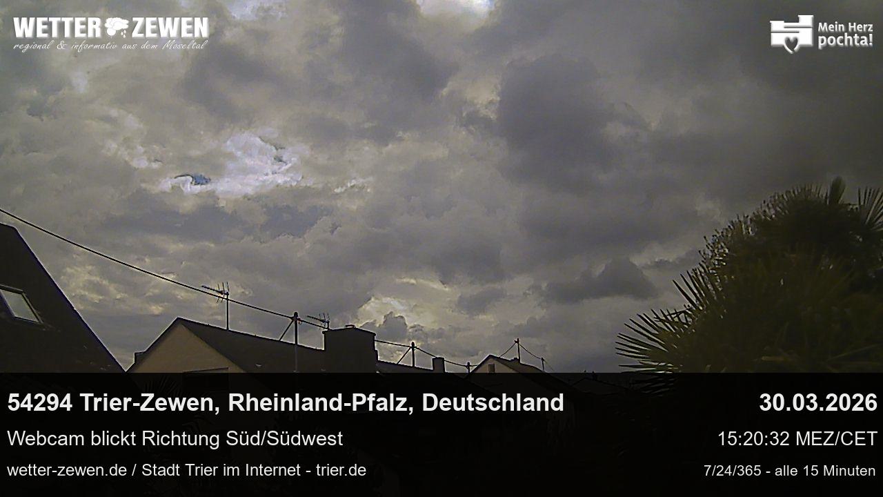 Bild