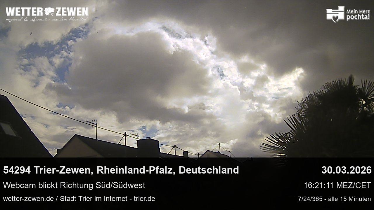 Bild