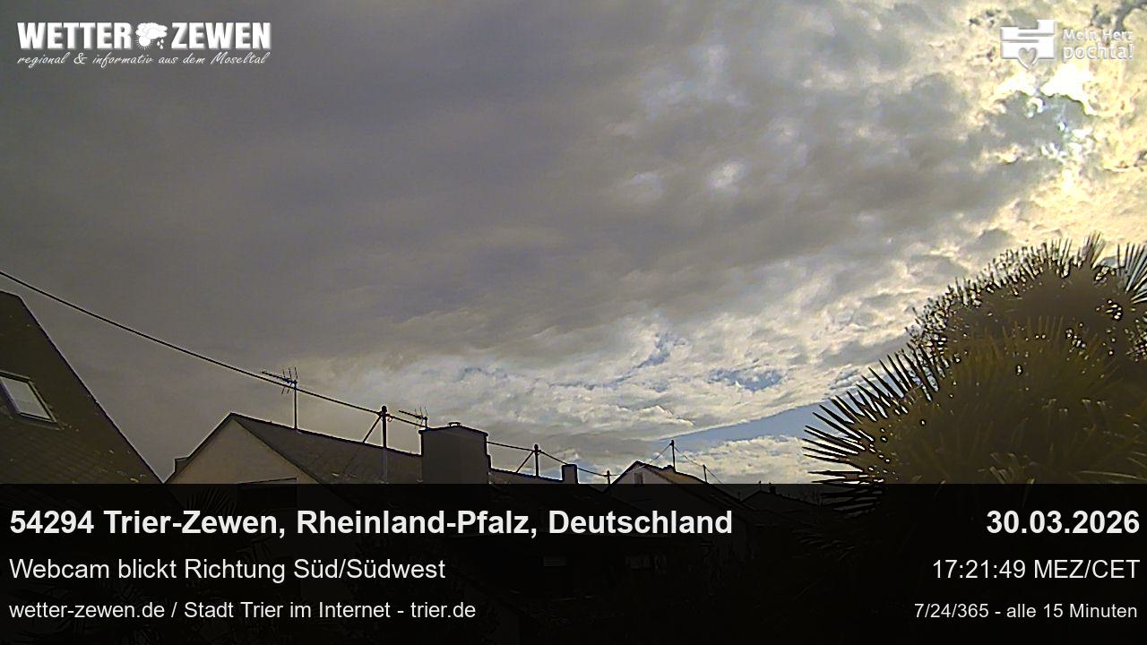 Bild