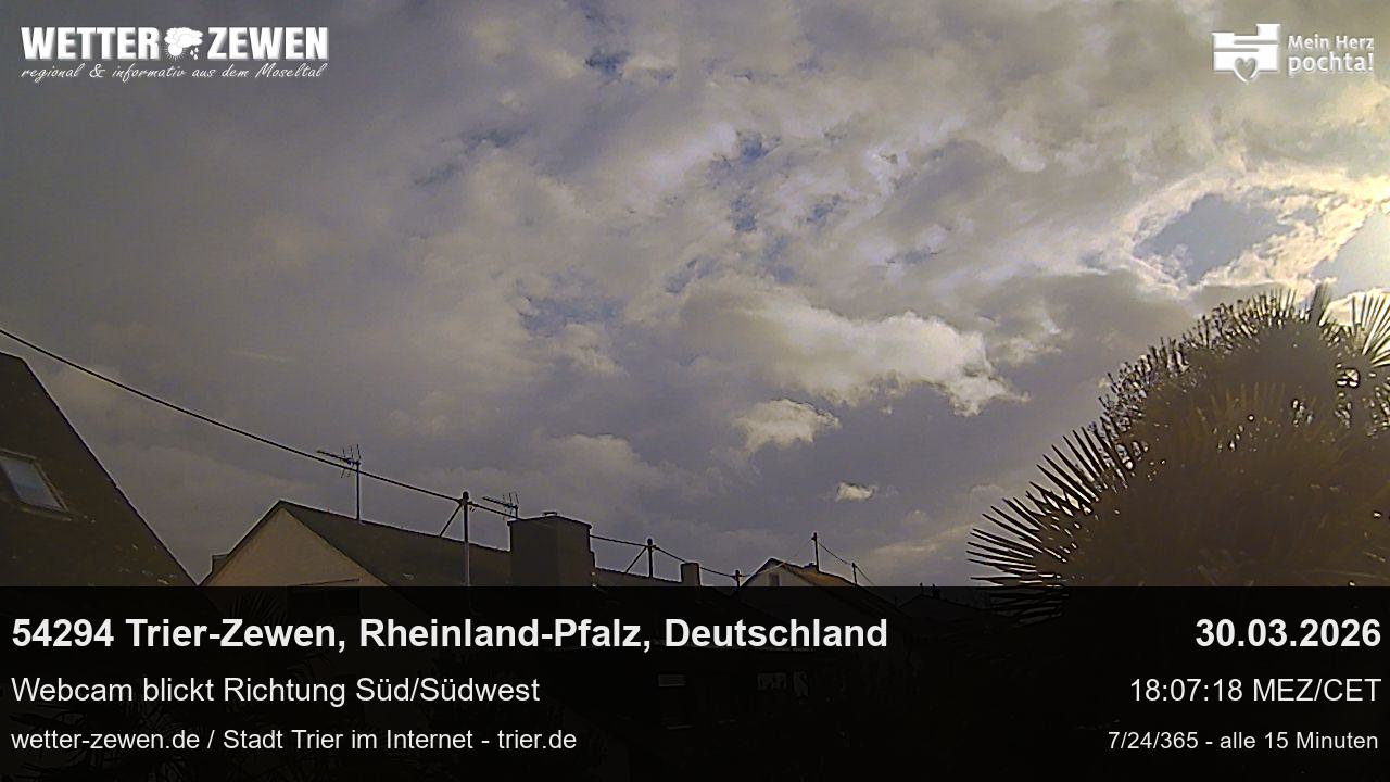Bild