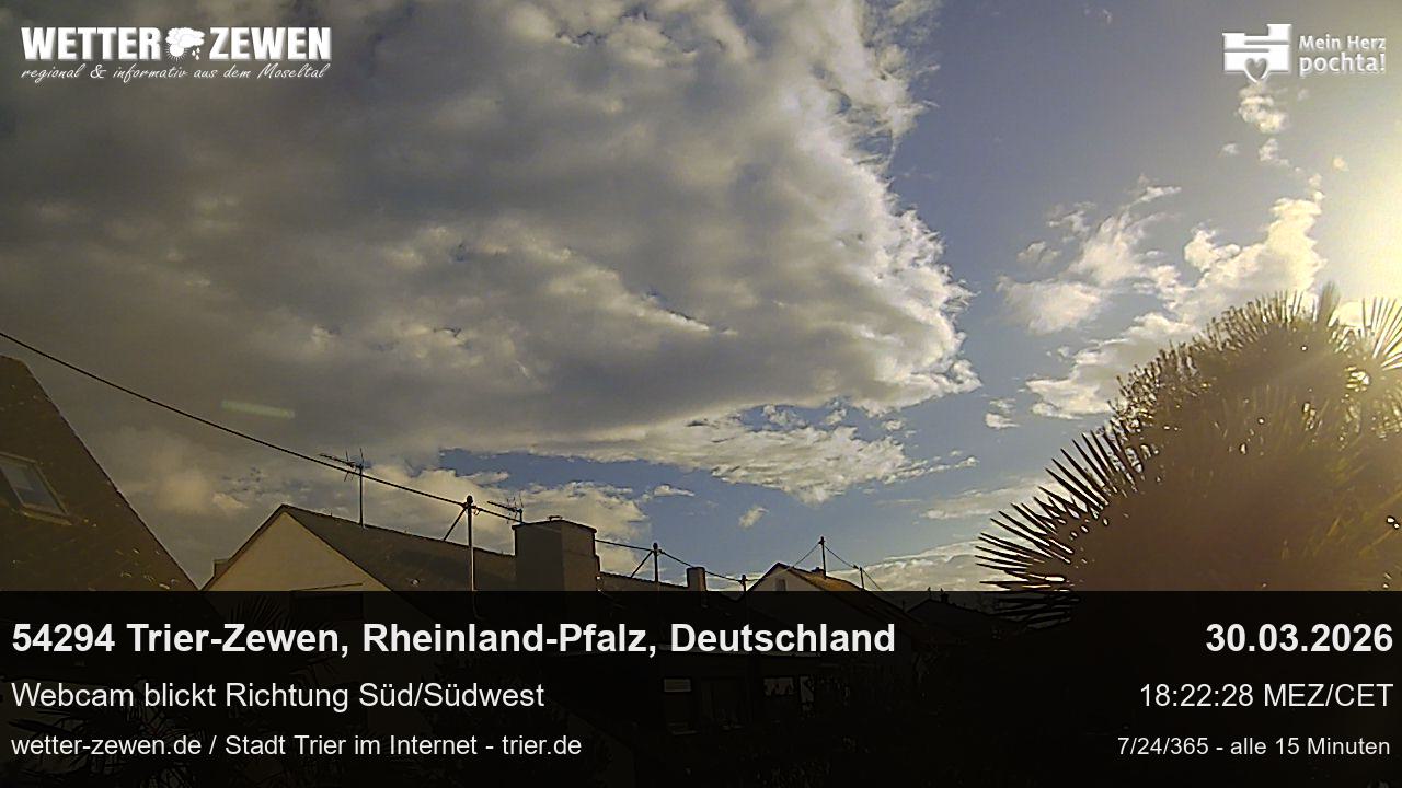 Bild