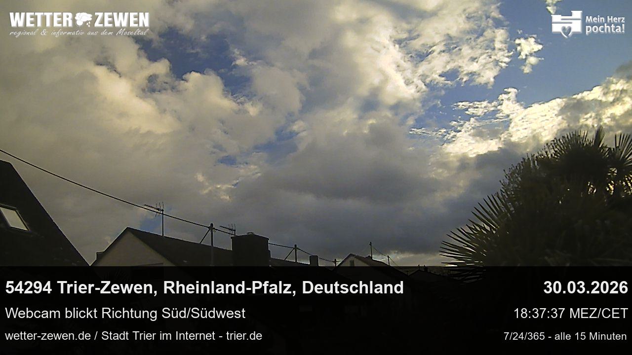 Bild