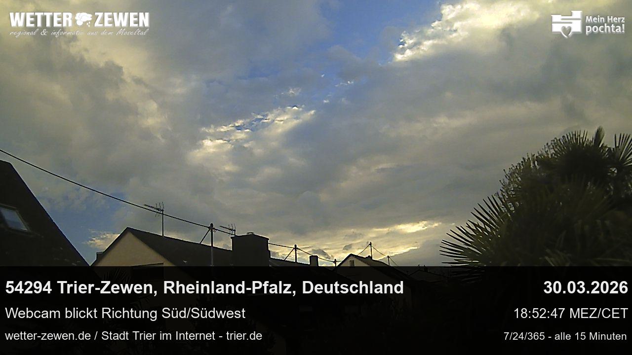 Bild