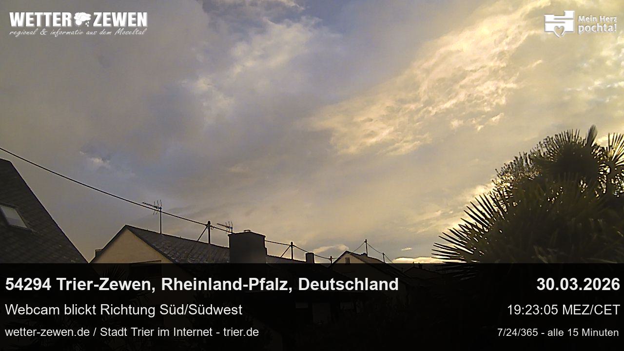 Bild