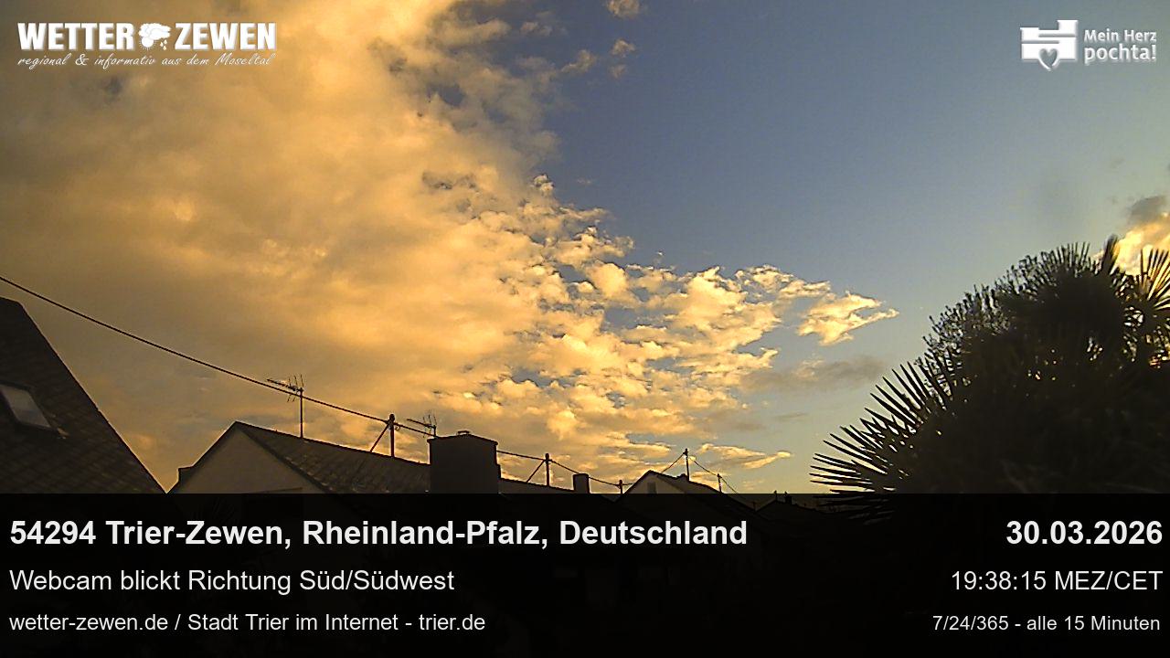 Bild