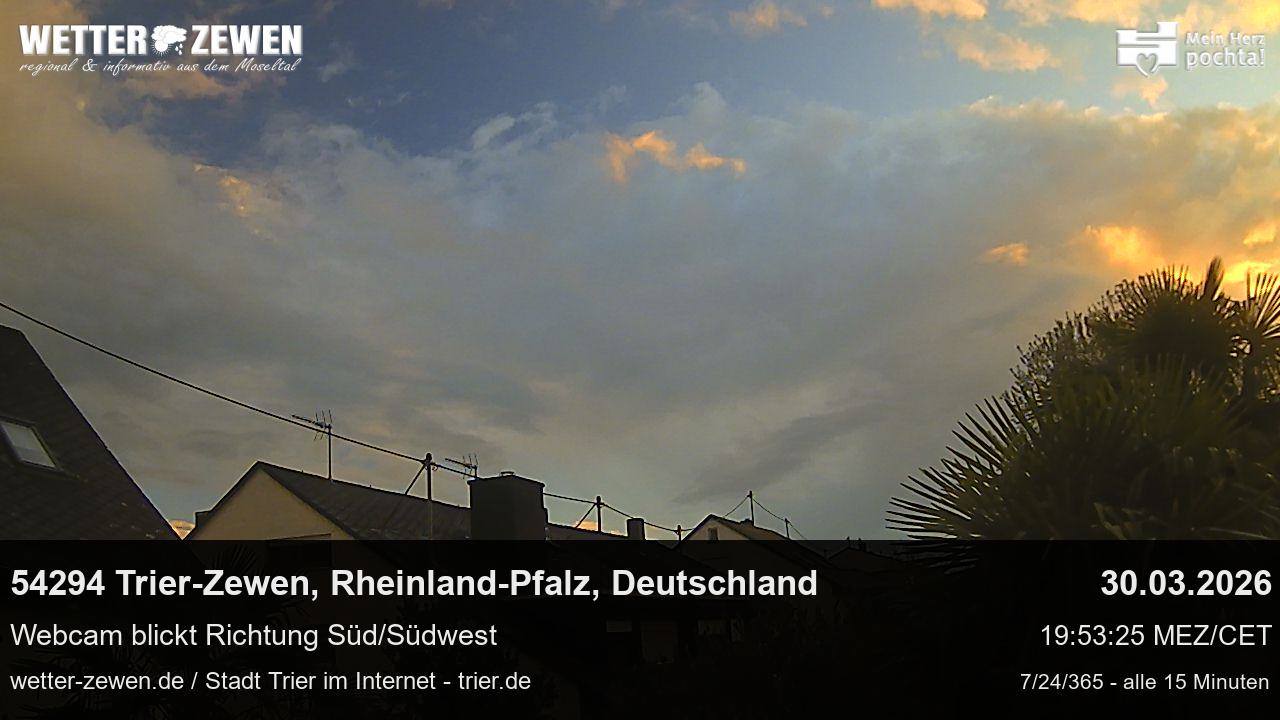 Bild