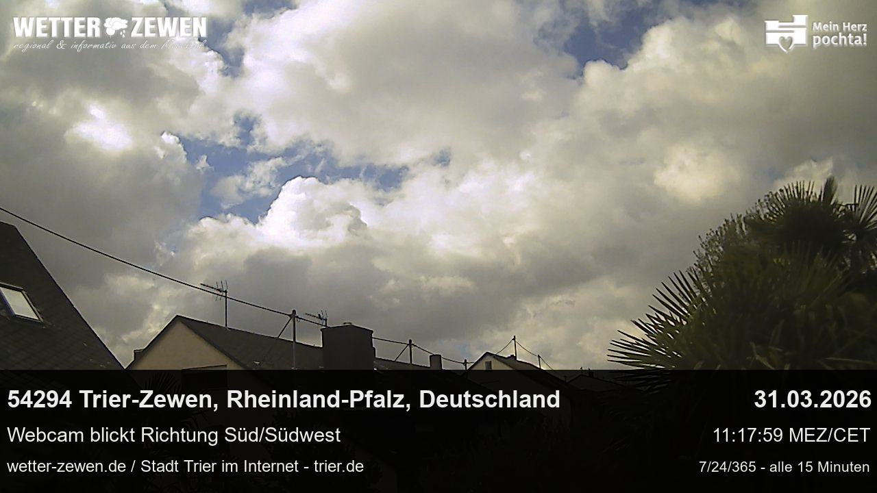 Bild
